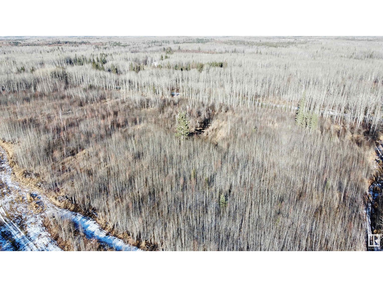 175031 Twp Rd 651.5, Rural Athabasca County, Alberta  T0A 0R0 - Photo 15 - E4412701