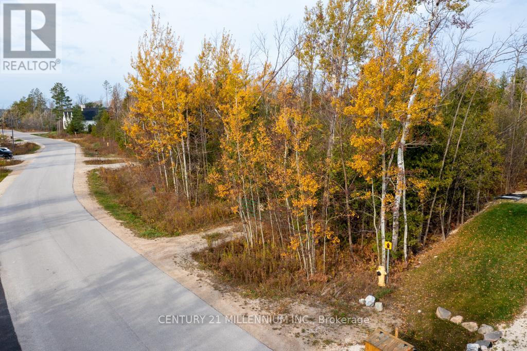 Lot 26 Delphi Lane, Blue Mountains (Blue Mountain Resort Area), Ontario  N0H 2P0 - Photo 7 - X10408246