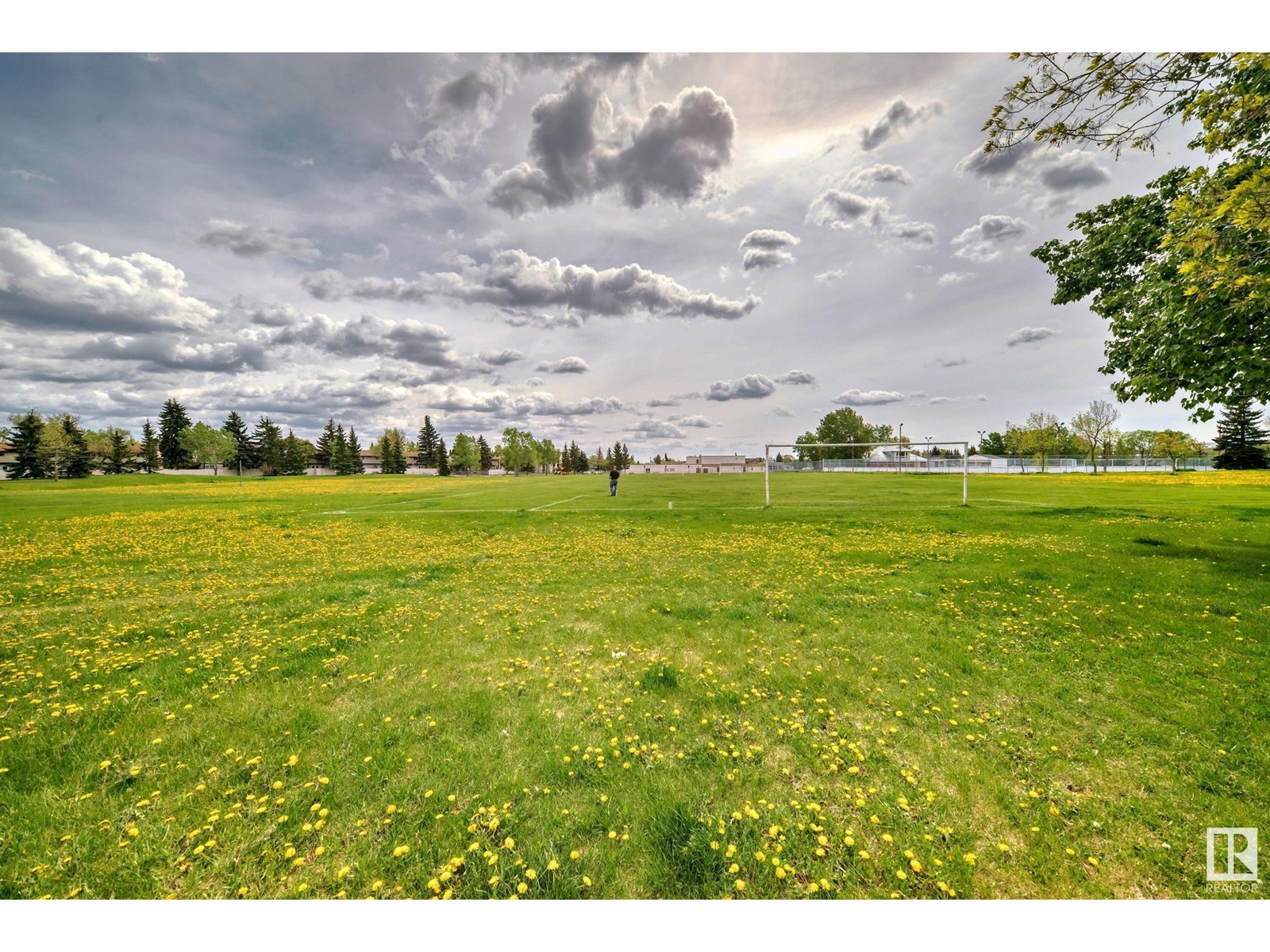 #28 3111 142 Av Nw, Edmonton, Alberta  T5Y 2H6 - Photo 48 - E4412734