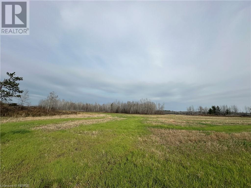 Lot 5 Lafreniere Road, Lavigne, Ontario  P0H 1R0 - Photo 3 - 40673665