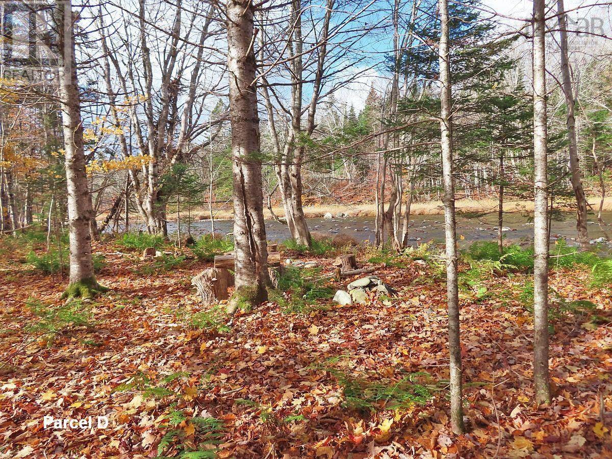 3 Lots Gold River Road, Upper Middle River, Nova Scotia  B0E 1B0 - Photo 7 - 202426003