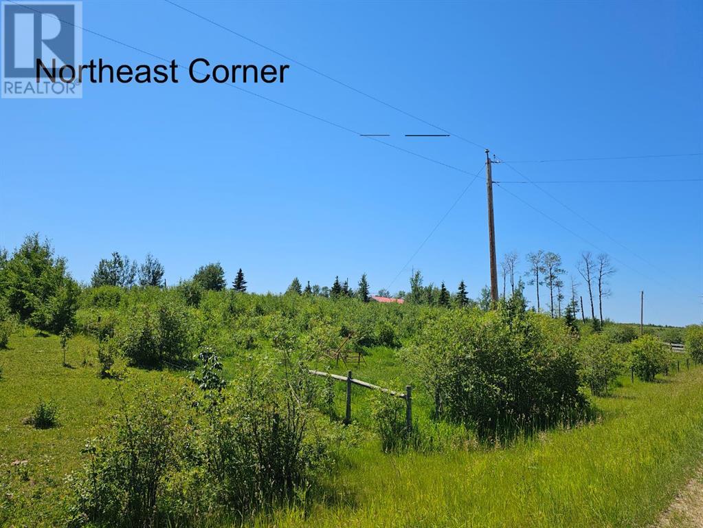 42057 Township Road 440, Rural Ponoka County, Alberta  T0C 0M0 - Photo 18 - A2146234