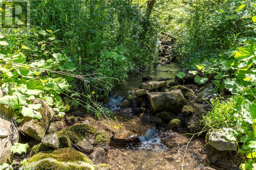 1110 Wilson Street E, Ancaster, Ontario  L8S 4K5 - Photo 7 - 40674103