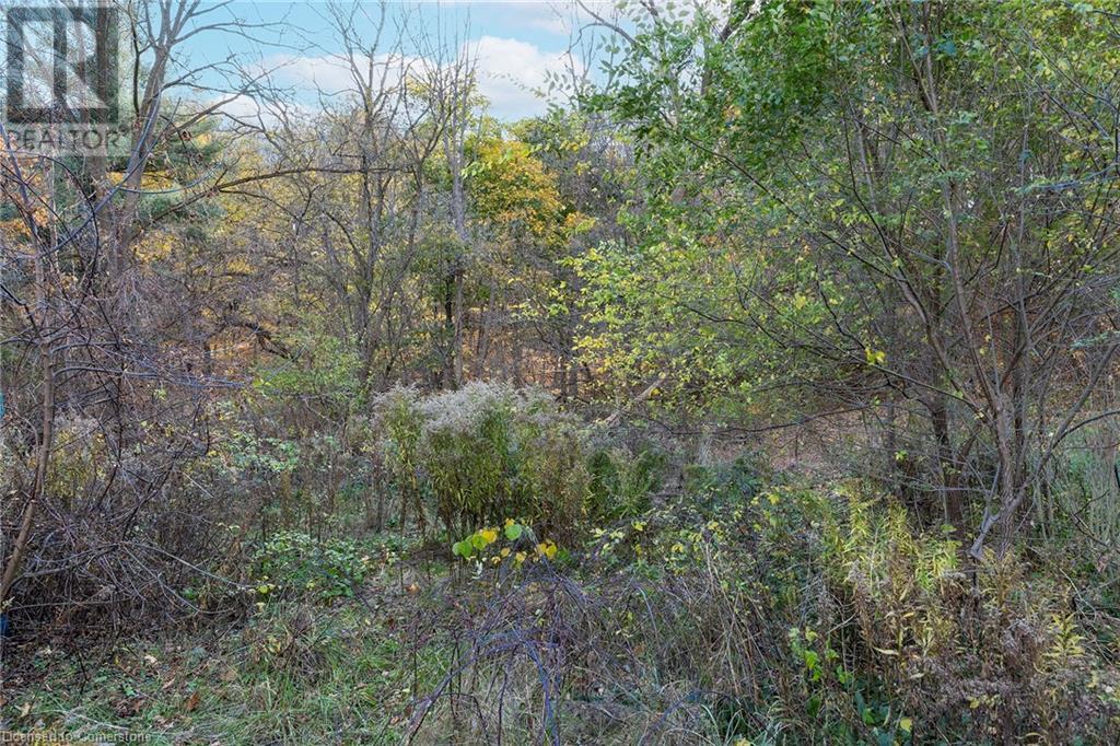 1110 Wilson Street E, Ancaster, Ontario  L8S 4K5 - Photo 8 - 40674103