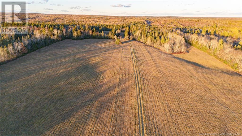 1732 Route 107 Route