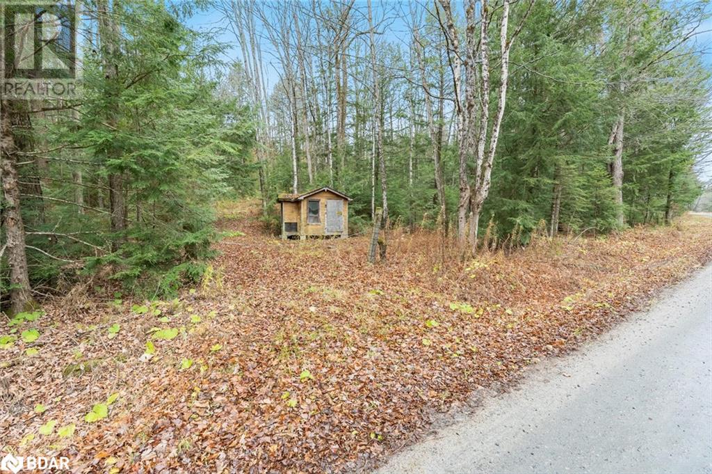 7950 Kings River Road, Ramara, Ontario  L0K 2B0 - Photo 3 - 40673439