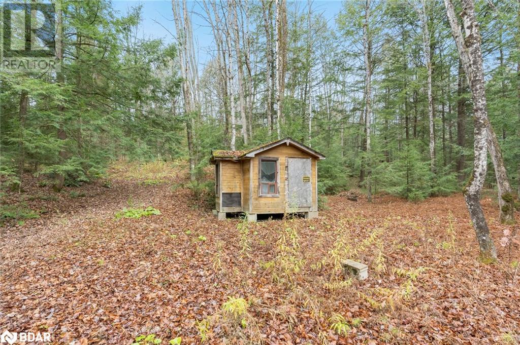 7950 Kings River Road, Ramara, Ontario  L0K 2B0 - Photo 4 - 40673439