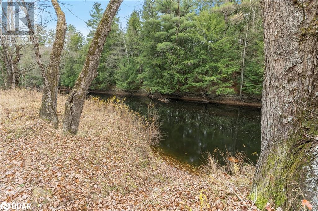 7950 Kings River Road, Ramara, Ontario  L0K 2B0 - Photo 6 - 40673439