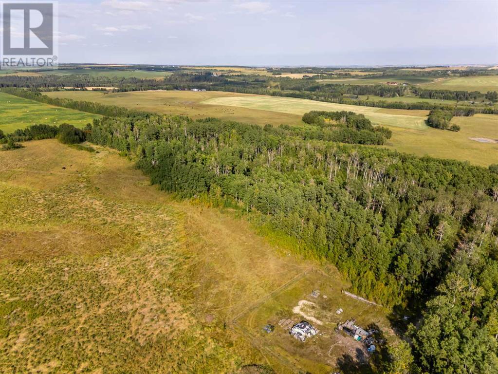 40 Acres Range Road 44, Rural Mountain View County, Alberta  T0M 0R0 - Photo 13 - A2164729