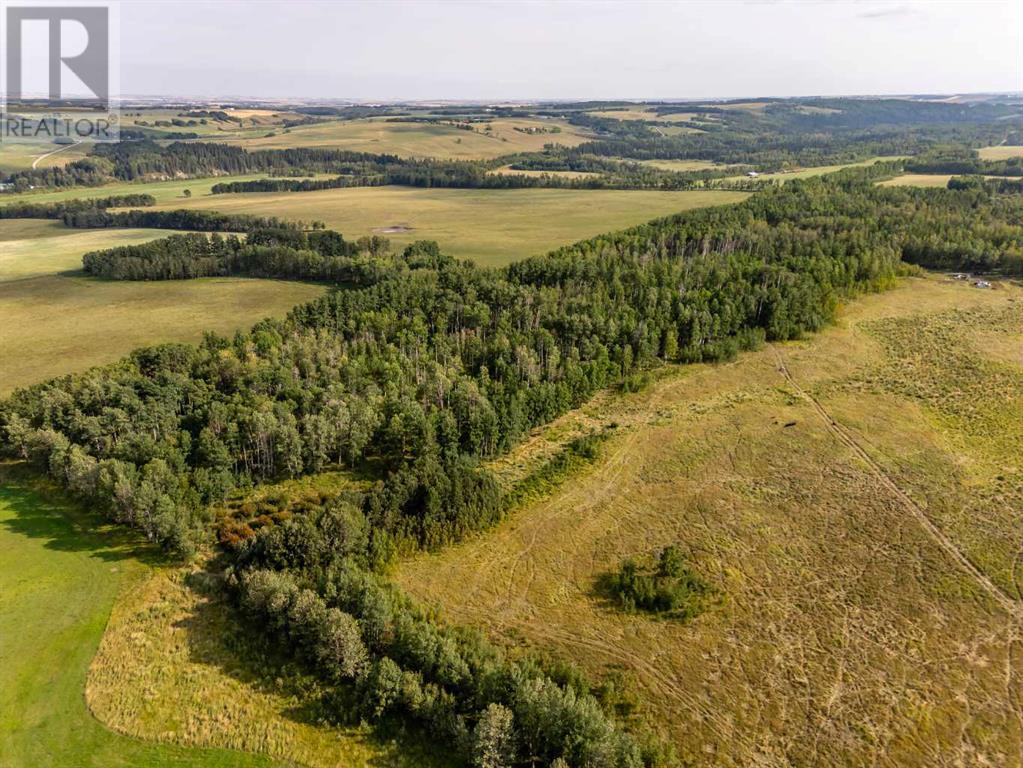 40 Acres Range Road 44, Rural Mountain View County, Alberta  T0M 0R0 - Photo 15 - A2164729