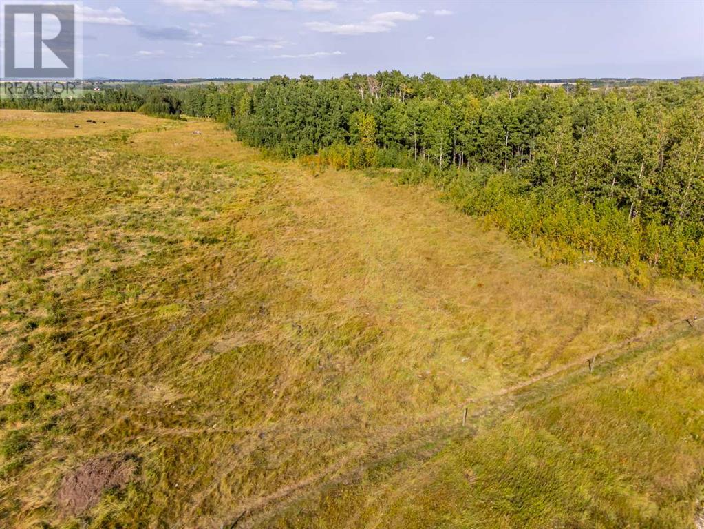 40 Acres Range Road 44, Rural Mountain View County, Alberta  T0M 0R0 - Photo 18 - A2164729