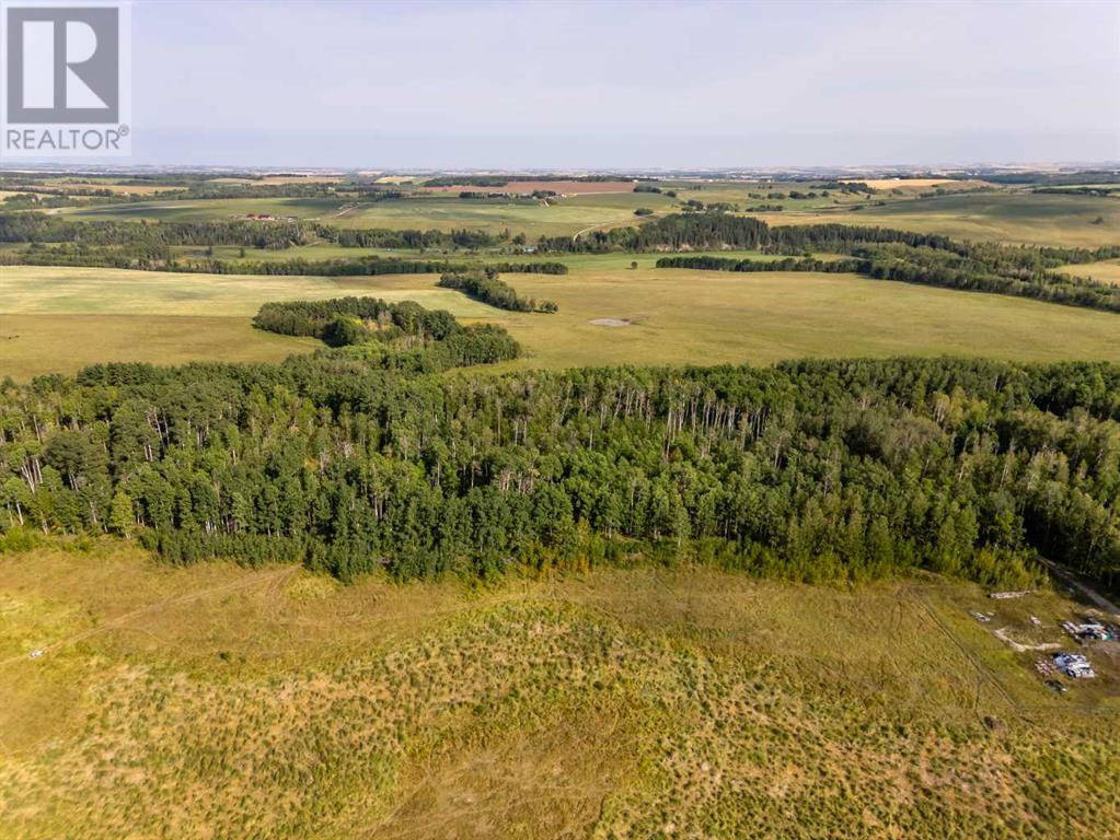 40 Acres Range Road 44, Rural Mountain View County, Alberta  T0M 0R0 - Photo 14 - A2164729