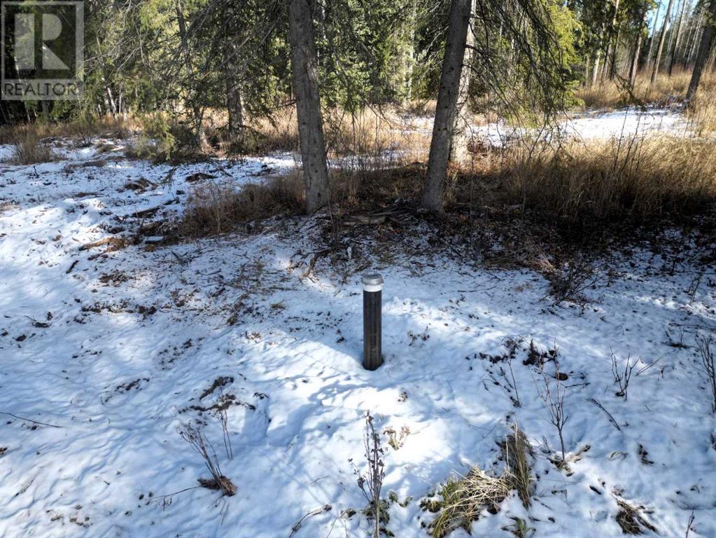 Property at 9, 53018 Range Road 175 image 3