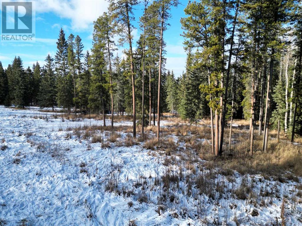Property at 9, 53018 Range Road 175 image 4