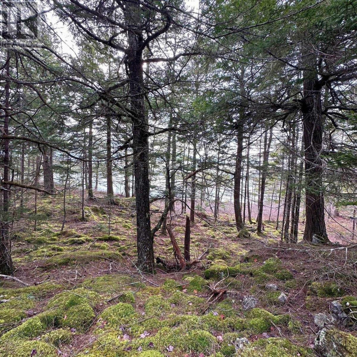 Lot 38 Sand Cove Road, Westfield, Nova Scotia  B0T 1B0 - Photo 14 - 202404708