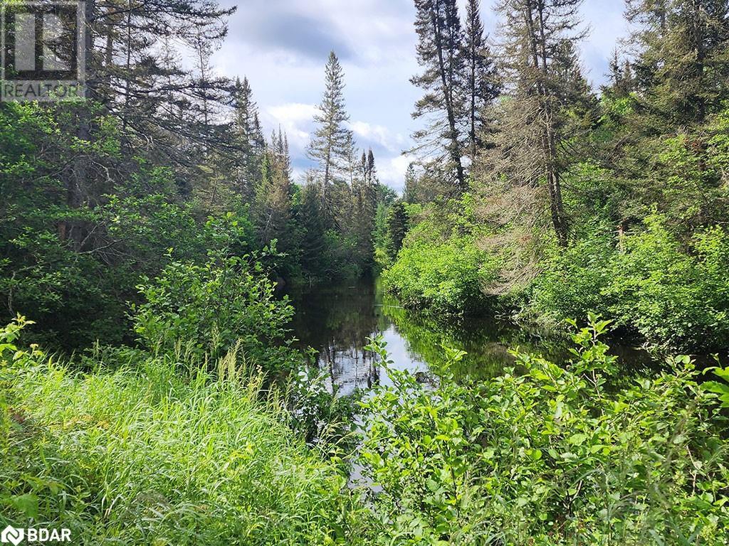 121 Proudfoot Road, Sundridge, Ontario  P0A 1Z0 - Photo 6 - 40670725