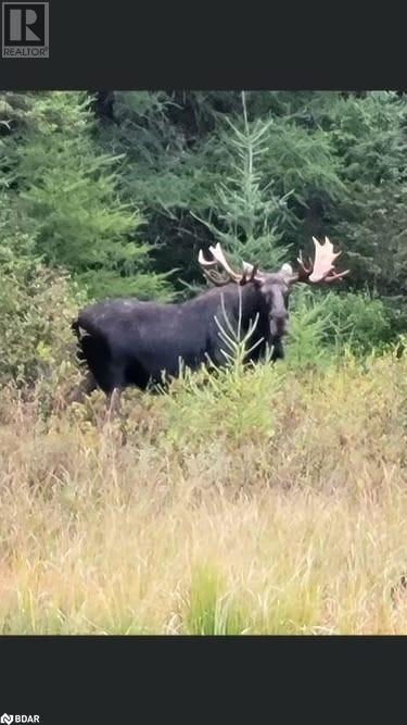 121 Proudfoot Road, Sundridge, Ontario  P0A 1Z0 - Photo 15 - 40670725