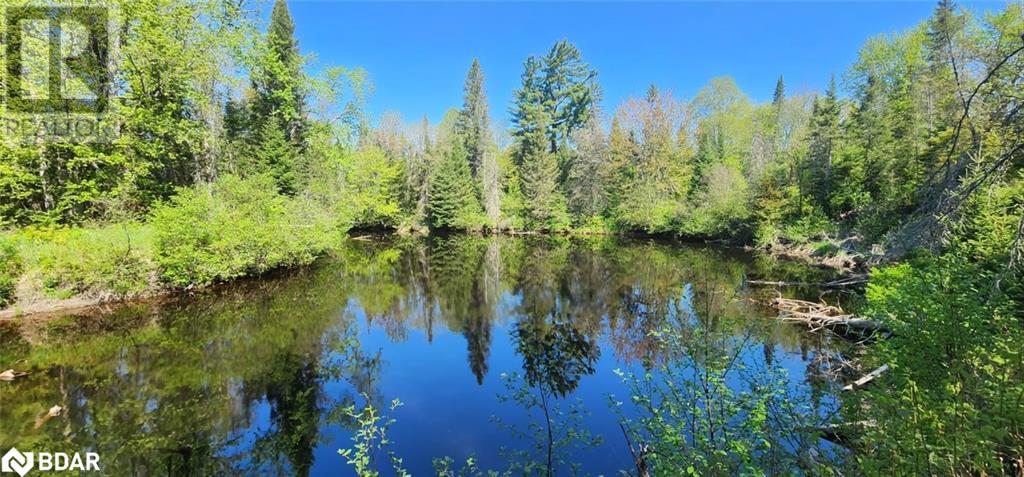 121 Proudfoot Road, Sundridge, Ontario  P0A 1Z0 - Photo 11 - 40670725