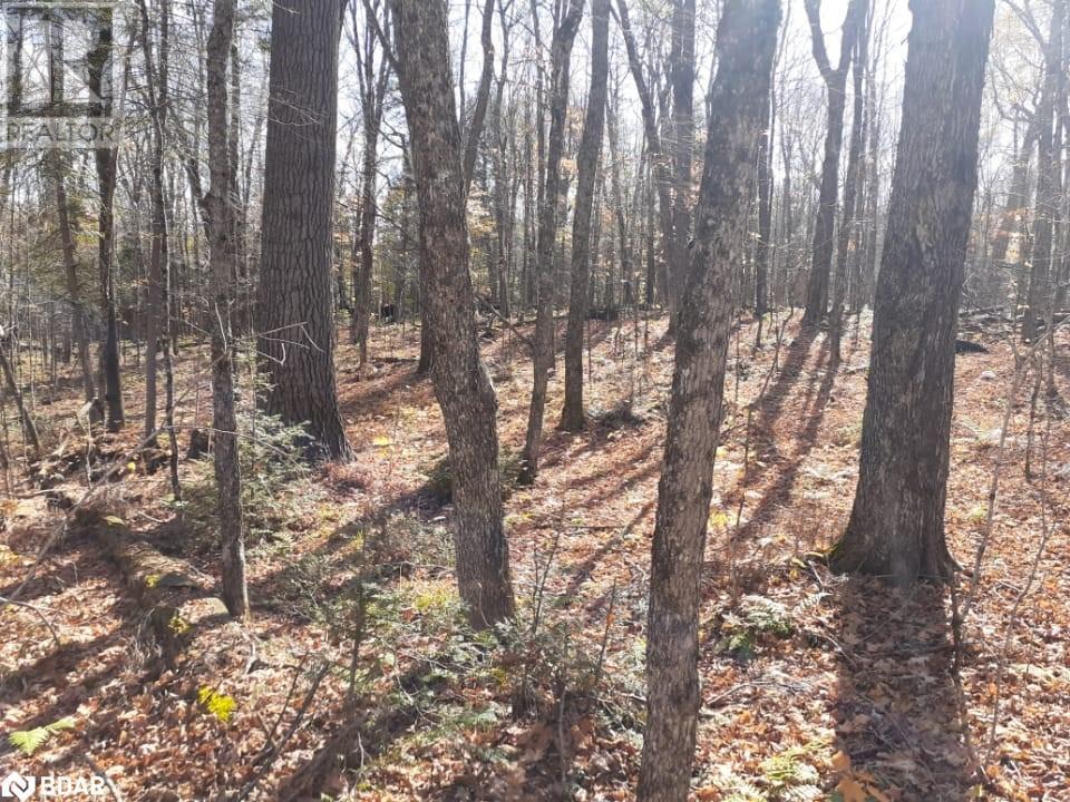 121 Proudfoot Road, Sundridge, Ontario  P0A 1Z0 - Photo 19 - 40670725