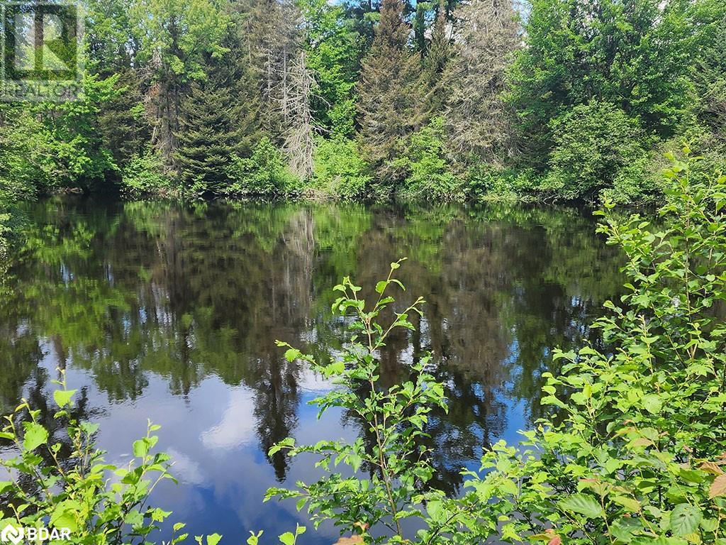 121 Proudfoot Road, Sundridge, Ontario  P0A 1Z0 - Photo 7 - 40670725