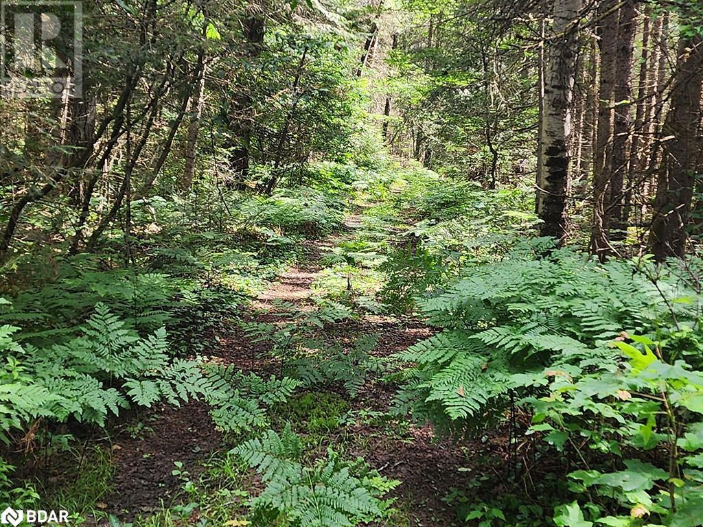 121 Proudfoot Road, Sundridge, Ontario  P0A 1Z0 - Photo 8 - 40670725