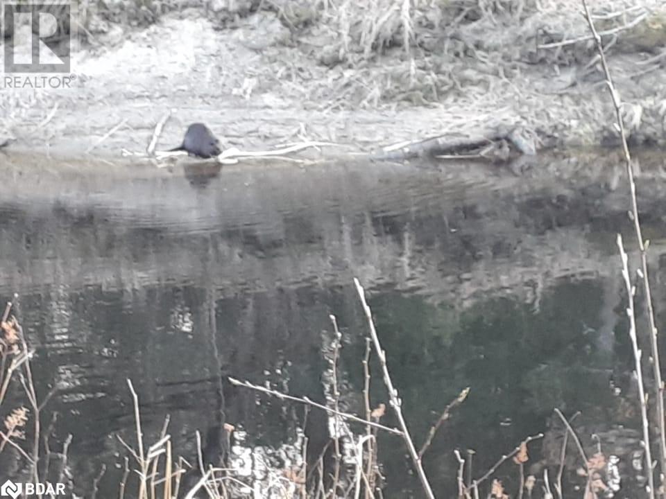 121 Proudfoot Road, Sundridge, Ontario  P0A 1Z0 - Photo 13 - 40670725