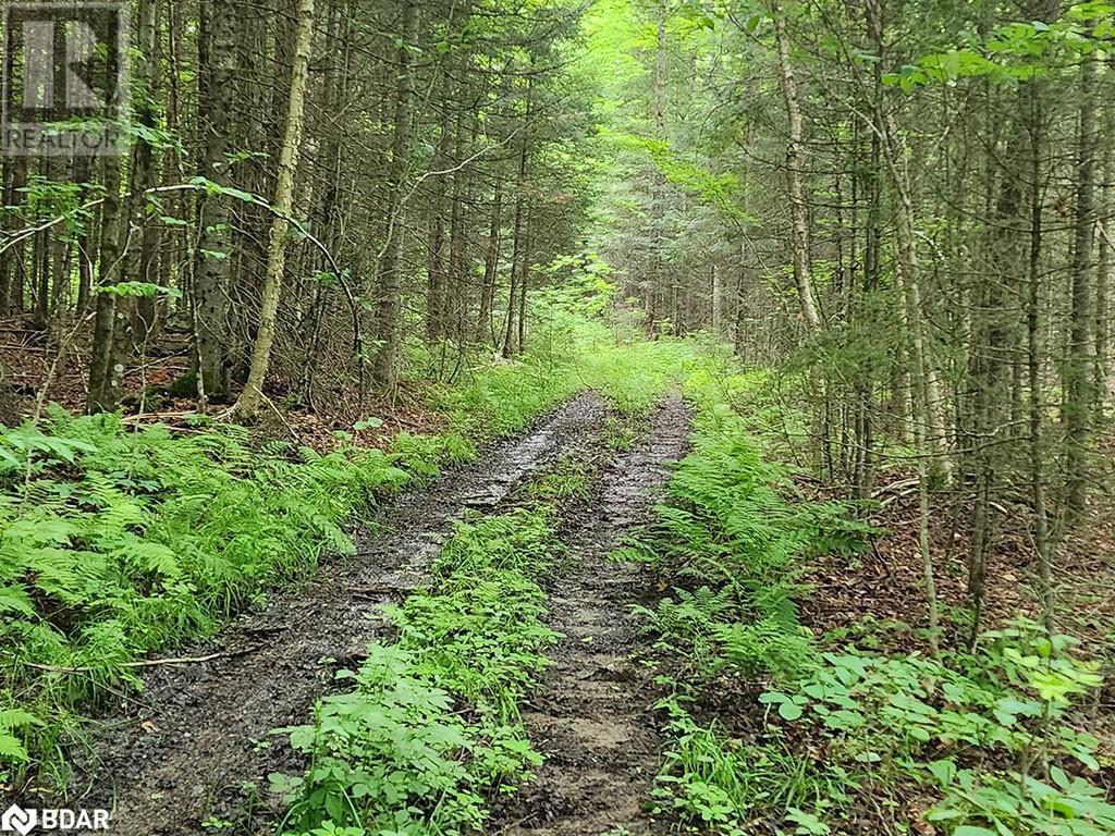 121 Proudfoot Road, Sundridge, Ontario  P0A 1Z0 - Photo 9 - 40670725