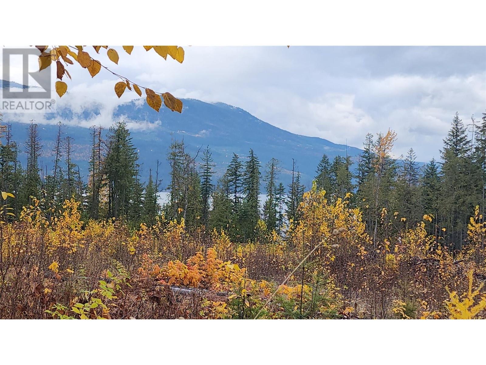 Lot A 23 Highway, Nakusp, British Columbia  V0G 1R0 - Photo 3 - 10327777