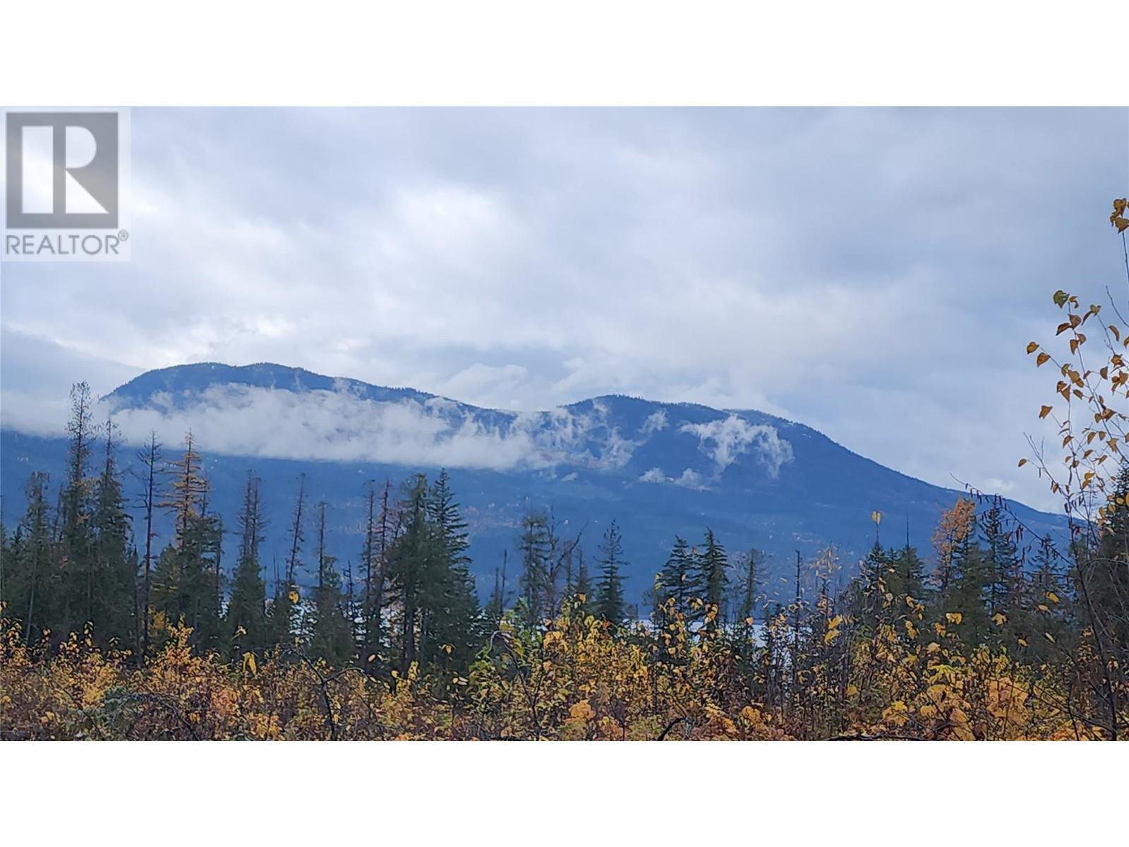 Lot A 23 Highway, Nakusp, British Columbia  V0G 1R0 - Photo 11 - 10327777