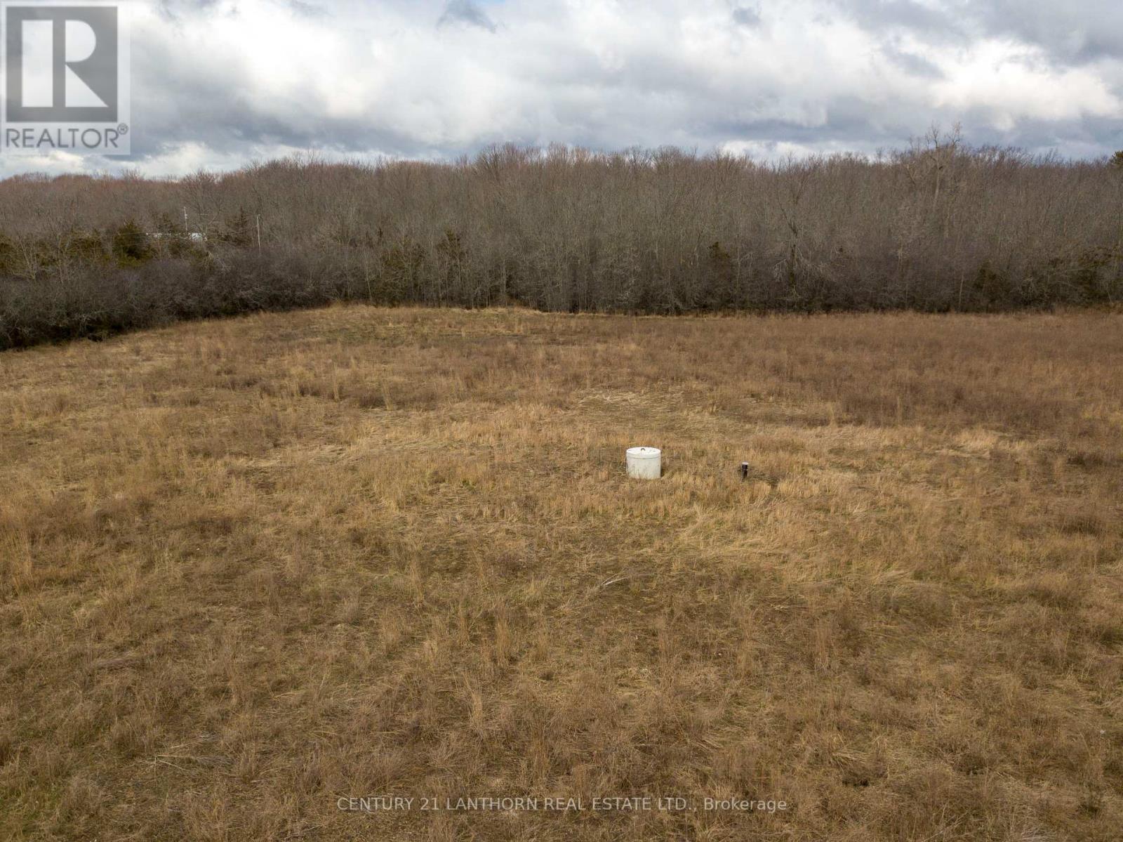 Property at 204 KELLY ROAD image 5