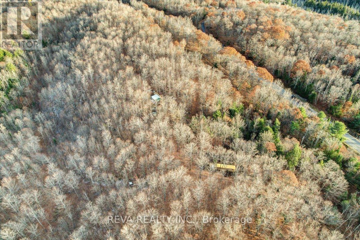 603 Buckshot Lake Road, Addington Highlands, Ontario  K0H 1K0 - Photo 11 - X9376659