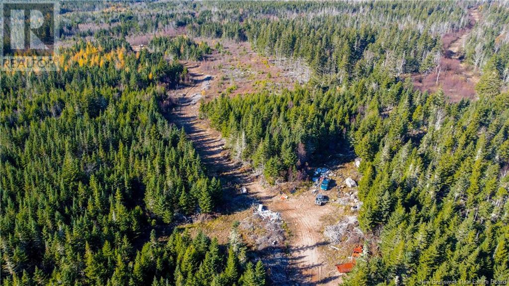 Lot #2 Highway 106, Frosty Hollow, New Brunswick  E4L 2E5 - Photo 1 - NB108745