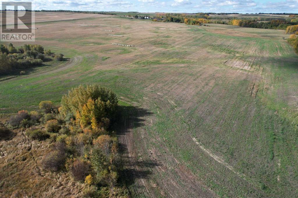 On Range Road 233, Rural Ponoka County, Alberta  T0B 0H0 - Photo 2 - A2170564