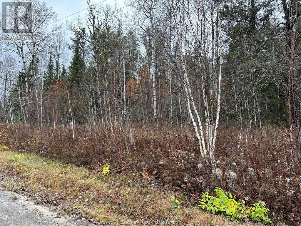 100 Docking Road, Greater Sudbury, Ontario  P3E 4N1 - Photo 3 - 2119783