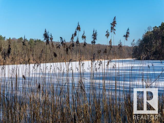 #50 52228 Rge Road 30, Rural Parkland County, Alberta  T7Y 2M5 - Photo 31 - E4412896