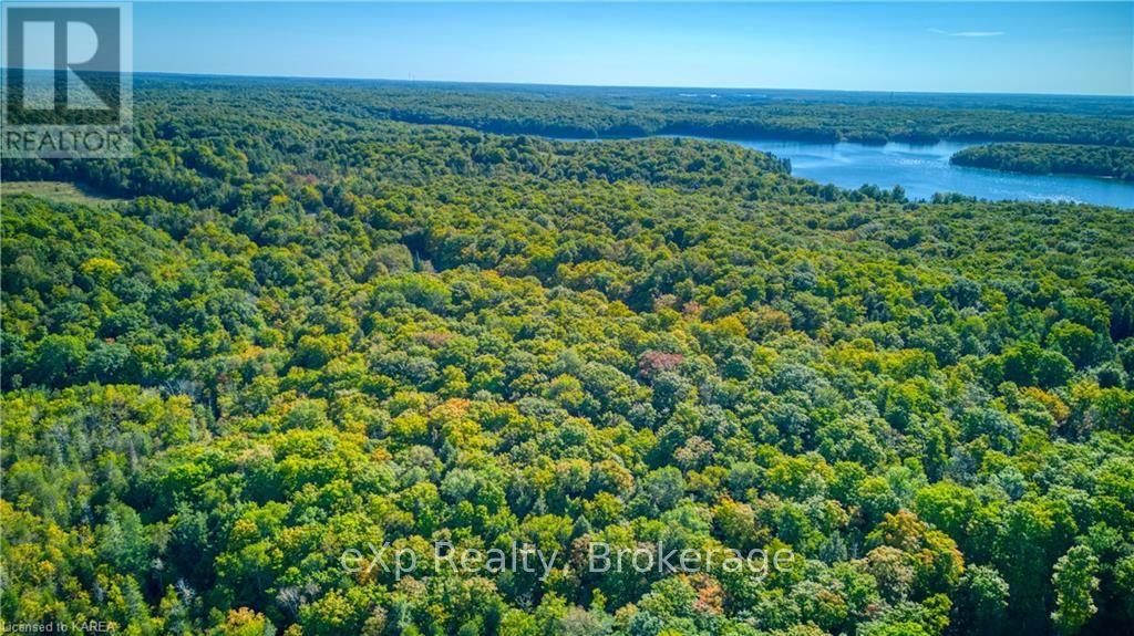 3608 Bell Line Rd, Central Frontenac (Frontenac Centre), Ontario  K0H 2E0 - Photo 30 - X9411502