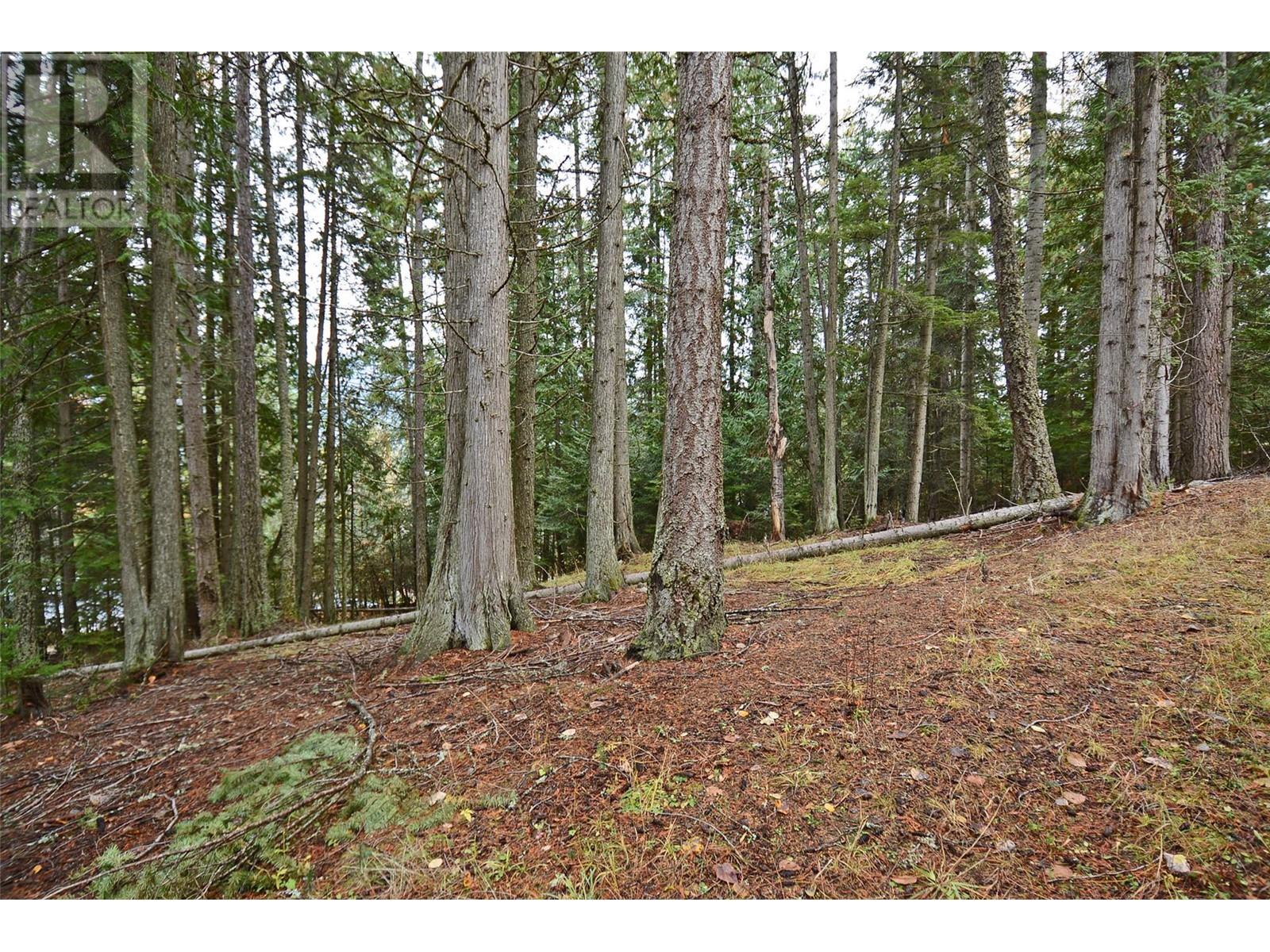 Lot 1 Bedford Road, nelson, British Columbia