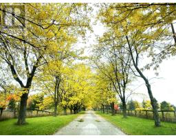 13682 WARDEN AVENUE, Whitchurch-Stouffville, Ontario