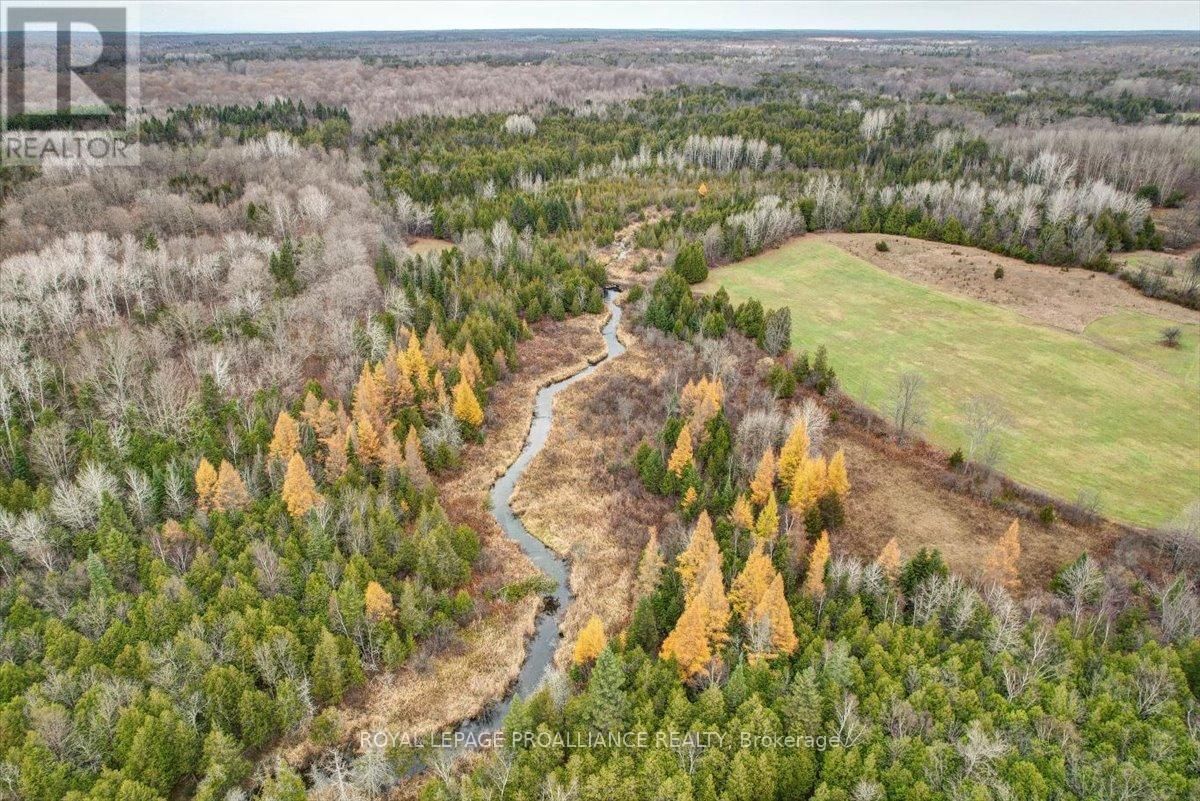 755 Naphan Road, Tyendinaga, Ontario  K0K 2Y0 - Photo 28 - X10409963