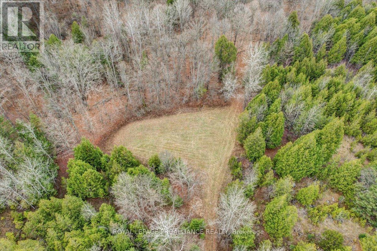 755 Naphan Road, Tyendinaga, Ontario  K0K 2Y0 - Photo 31 - X10409963