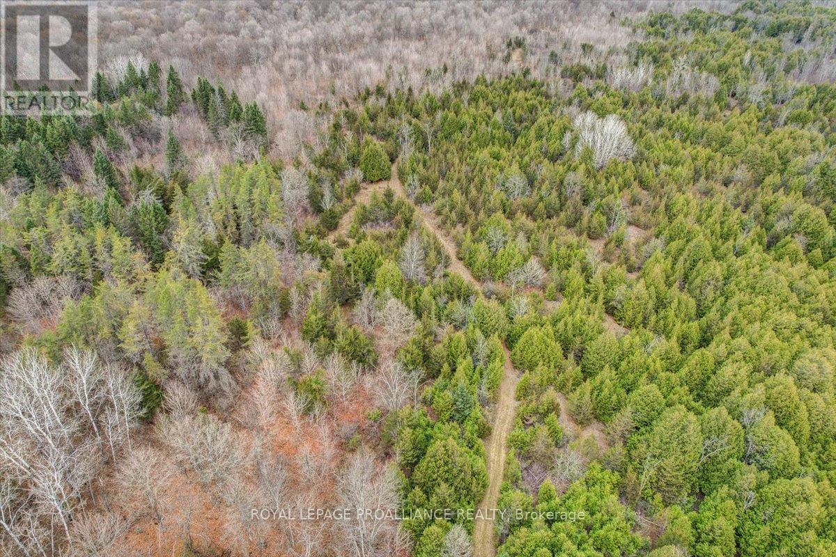 755 Naphan Road, Tyendinaga, Ontario  K0K 2Y0 - Photo 32 - X10409963
