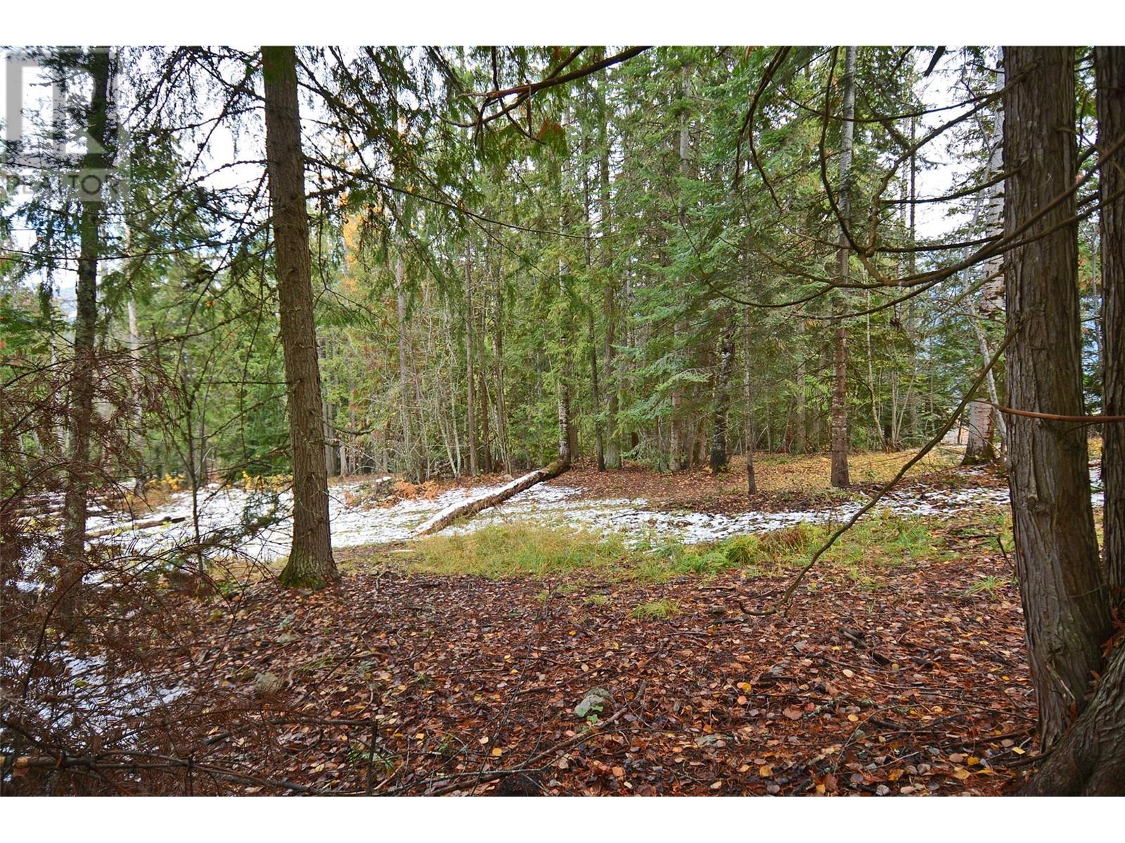 Lot 2 Bedford Road, Nelson, British Columbia  V1L 6X7 - Photo 12 - 10327891