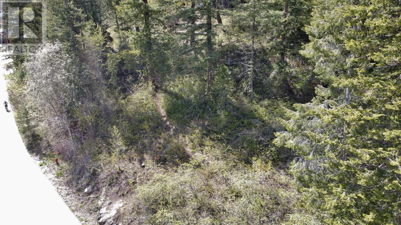 Lot 1 Mcleod Avenue, Rossland, British Columbia  V0G 1Y0 - Photo 20 - 2477871