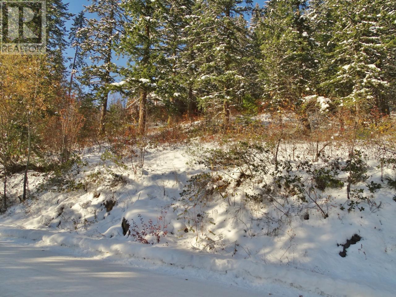 Lot 1 Mcleod Avenue, Rossland, British Columbia  V0G 1Y0 - Photo 46 - 2477871