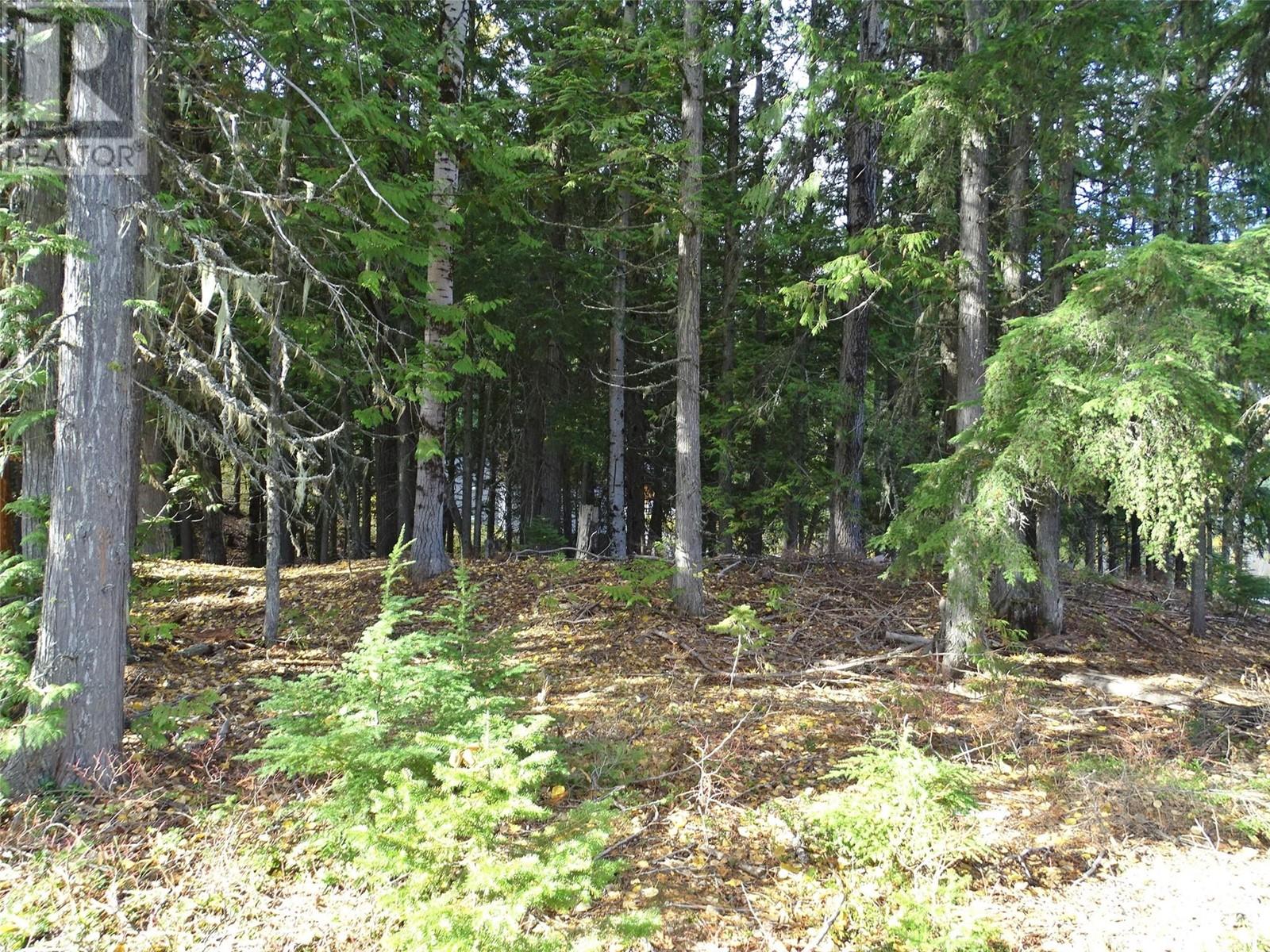 210 Cedar Creek Place Lot# Sl 10, Rossland, British Columbia  V0G 1Y0 - Photo 30 - 10327718