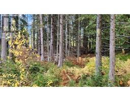 206 CEDAR CREEK Place, rossland, British Columbia