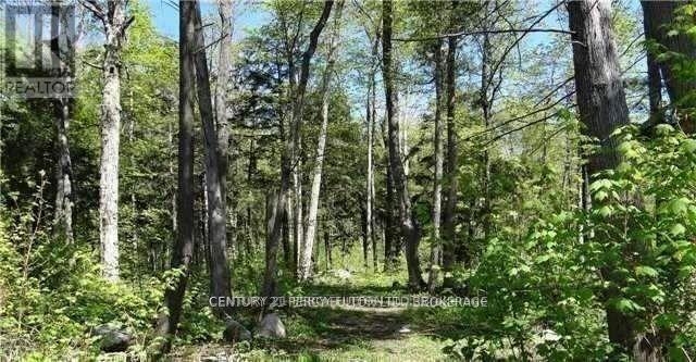 95 Nippissing Ridge Road, Tiny, Ontario  L9M 0H6 - Photo 2 - S10408210