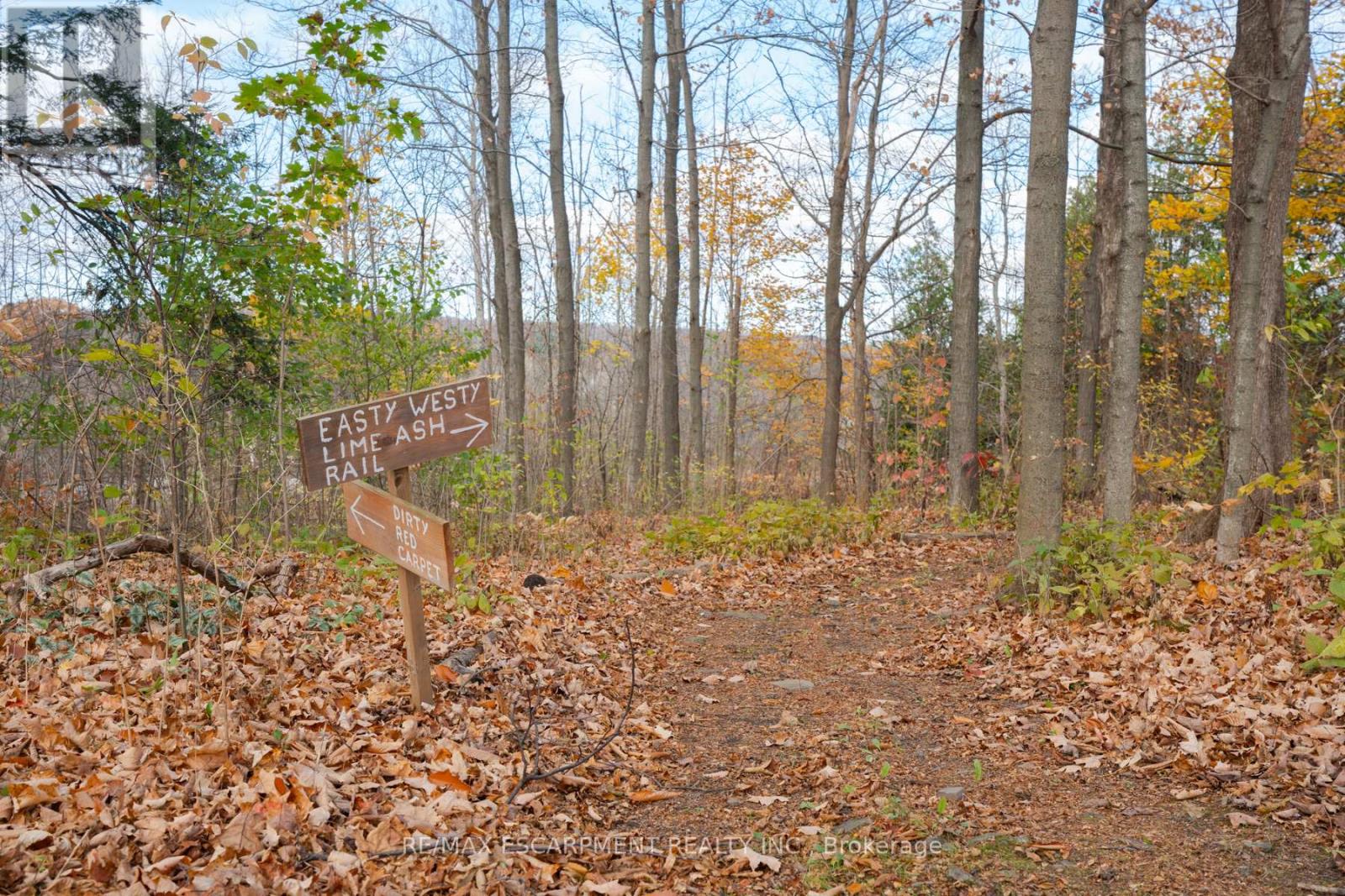 4317 Limestone Road, Milton, Ontario  L0P 1B0 - Photo 31 - W10409159