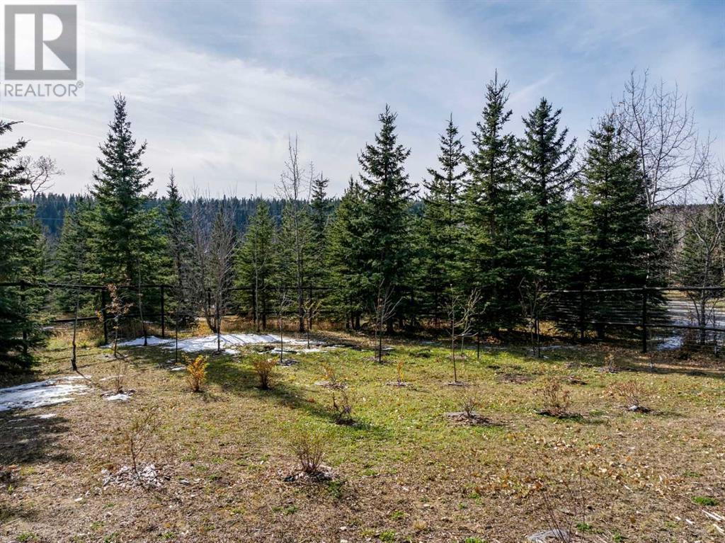 3-5242 Twp Road 290, Rural Mountain View County, Alberta  T0M 2E0 - Photo 40 - A2174436