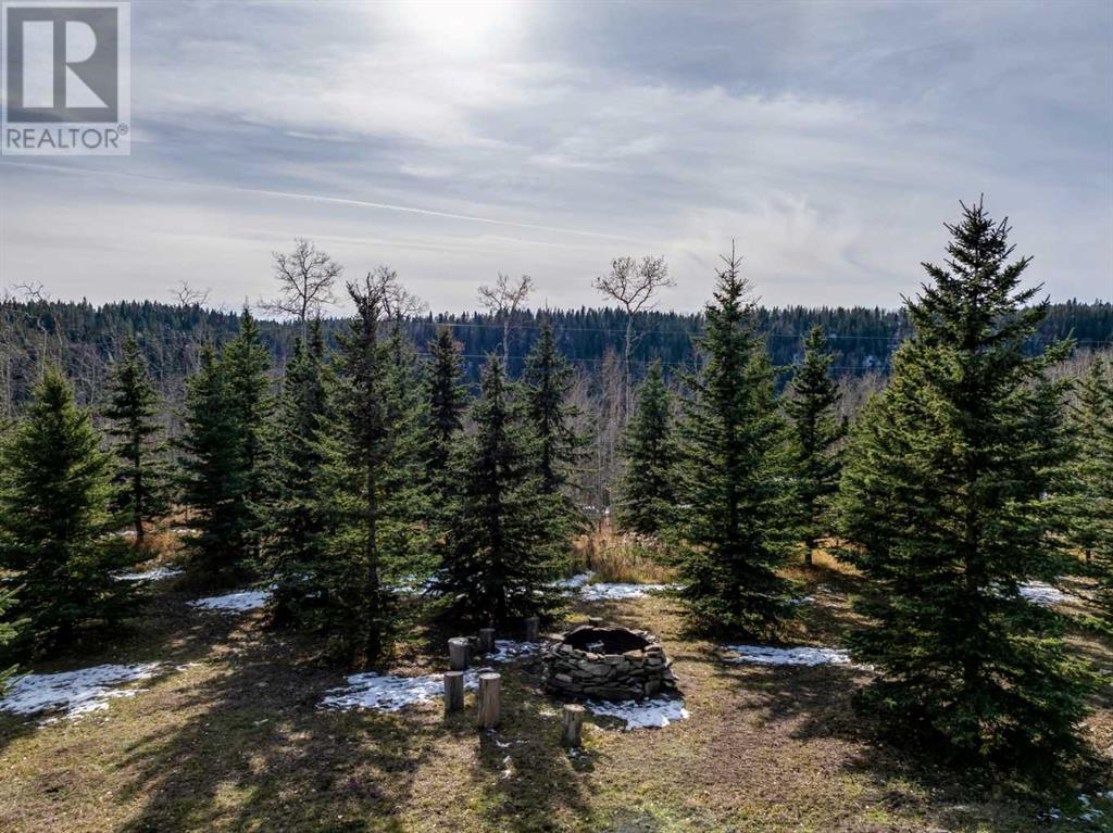 3-5242 Twp Road 290, Rural Mountain View County, Alberta  T0M 2E0 - Photo 41 - A2174436